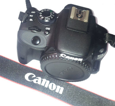 Body Canon D100